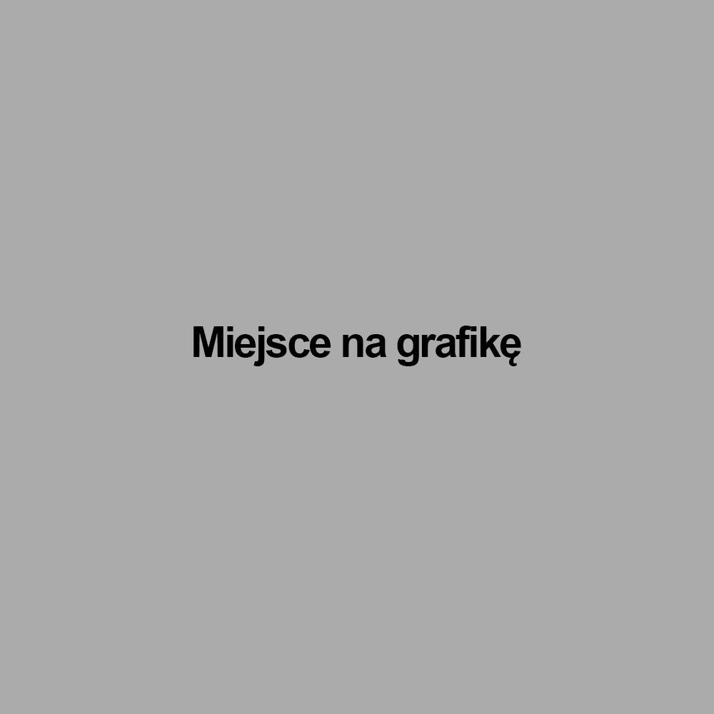 grafika